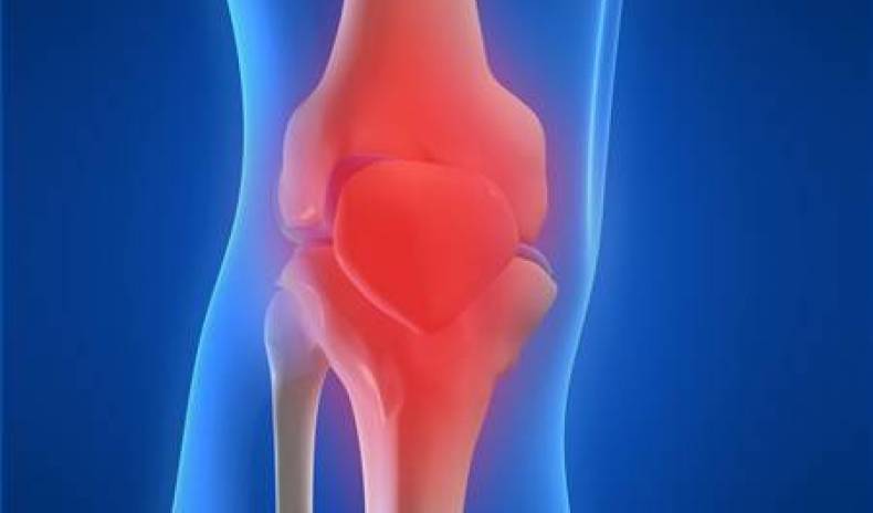 Osteoarthritis – your joints in danger!