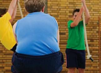 Obesity Levels Level Off – good or bad news?