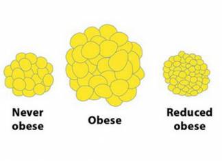 DO THE FAT CELLS DISAPPEAR WHEN WE LOSE WEIGHT?